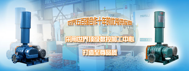 TXVLOG糖心官网风机-您身边的专业气化风机厂家