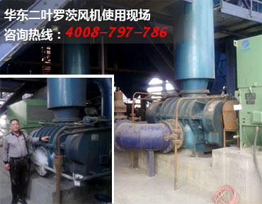 二叶糖心VIONGAPP风机现场图片