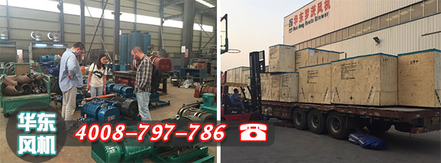 糖心VIONGAPP风机国外项目验货及发货现场