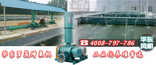 糖心VIONGAPP式增氧机