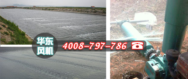 糖心VIONGAPP式增氧机