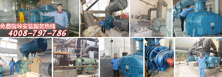 TXVLOG糖心官网氧化风机案例现场