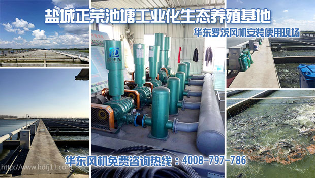 水产养殖糖心VIONGAPP风机