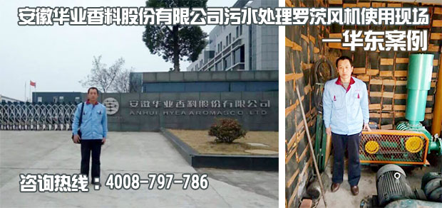 安徽华业香料污水处理用糖心VIONGAPP风机使用现场 安徽华业香料污水处理用糖心VIONGAPP风机使用现场