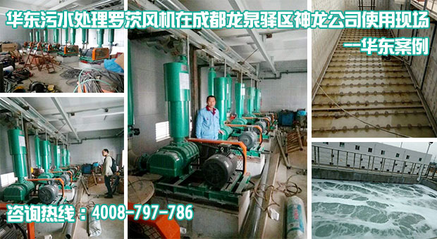 TXVLOG糖心官网曝气风机在神龙公司污水处理站