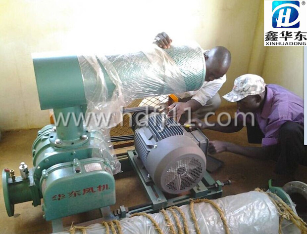 出口糖心VIONGAPP风机