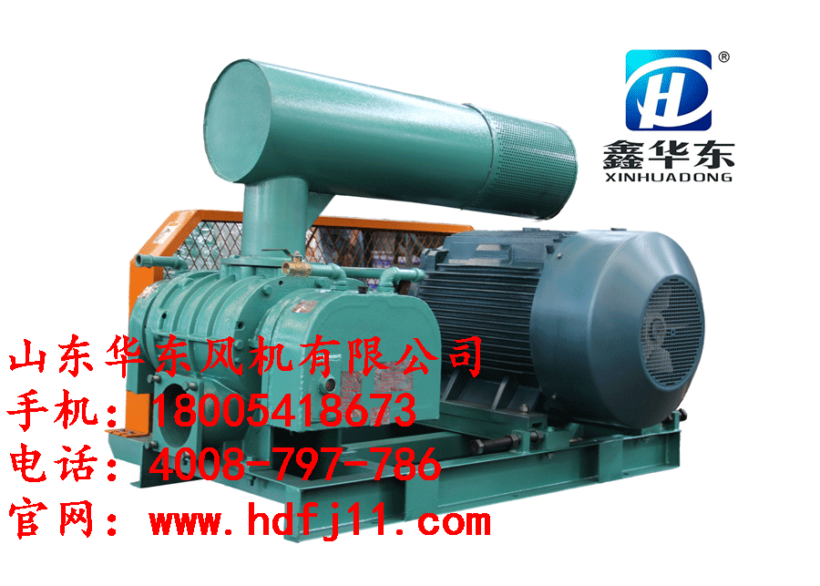 高压糖心VIONGAPP鼓风机