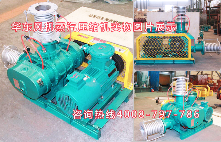 蒸汽压缩机