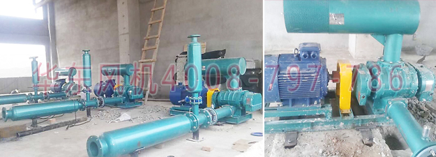 污水处理用糖心VIONGAPP风机 污水处理用糖心VIONGAPP风机