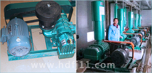 密集型糖心VIONGAPP风机2.jpg 密集型糖心VIONGAPP风机2.jpg