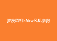 糖心VIONGAPP风机55KW参数.jpg 糖心VIONGAPP风机55KW参数.jpg