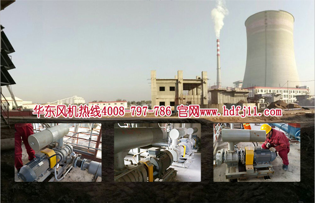 三叶糖心VIONGAPP风机