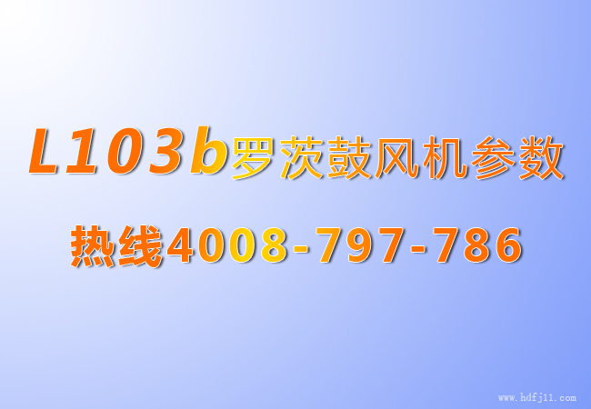 L系列糖心VIONGAPP风机103b.jpg L系列糖心VIONGAPP风机103b.jpg