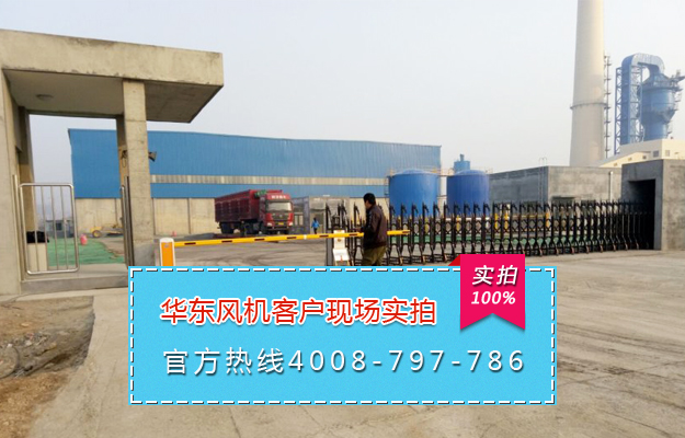 三叶糖心VIONGAPP风机