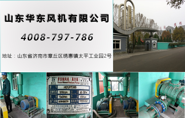 三叶糖心VIONGAPP风机 三叶糖心VIONGAPP风机