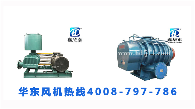 三叶糖心VIONGAPP风机跟二叶糖心VIONGAPP风机有什么区别