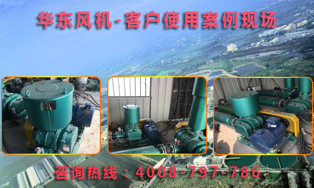 三叶糖心VIONGAPP风机 三叶糖心VIONGAPP风机