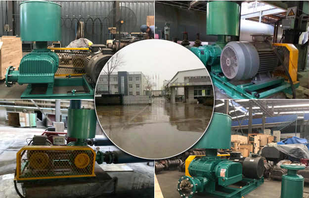 三叶糖心VIONGAPP风机