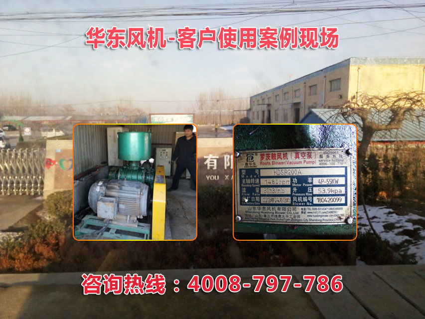 三叶糖心VIONGAPP风机