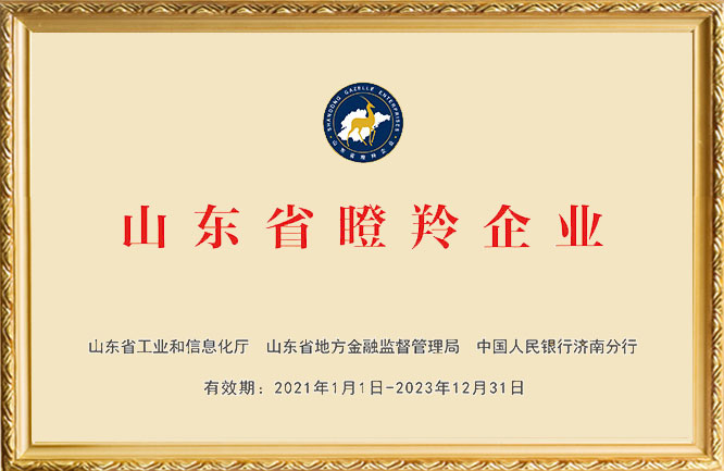 TXVLOG糖心官网荣誉-山东省瞪羚企业