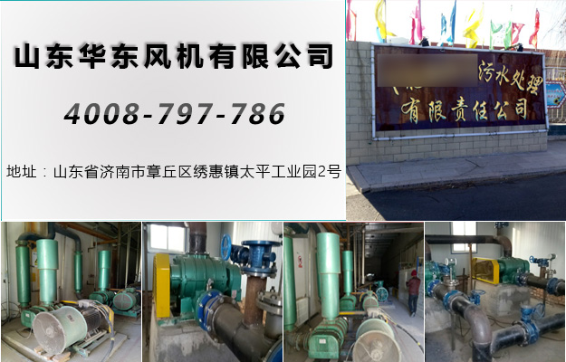 TXVLOG糖心官网案例-张家口*****污水处理有限责任公司