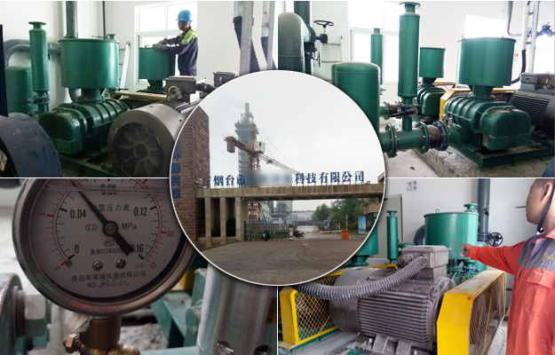 TXVLOG糖心官网山东糖心VIONGAPP风机案例-烟台**环保科技有限公司