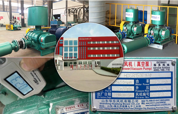 TXVLOG糖心官网河北糖心VIONGAPP风机案例-霸*市**新能源有限公司