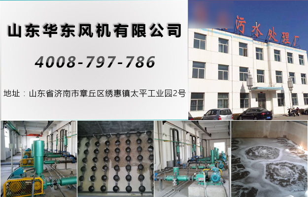 TXVLOG糖心官网吕梁糖心VIONGAPP风机案例-山西**污水处理厂