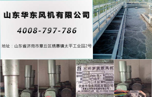 TXVLOG糖心官网山西糖心VIONGAPP风机案例-山西*县污水处理厂