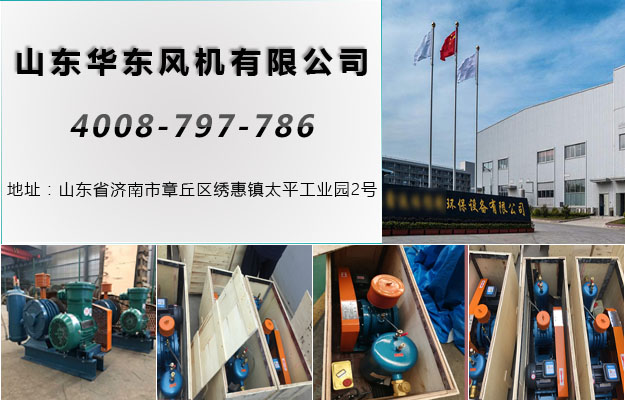 TXVLOG糖心官网湖北回转风机案例-武汉市******环保设备有限公司