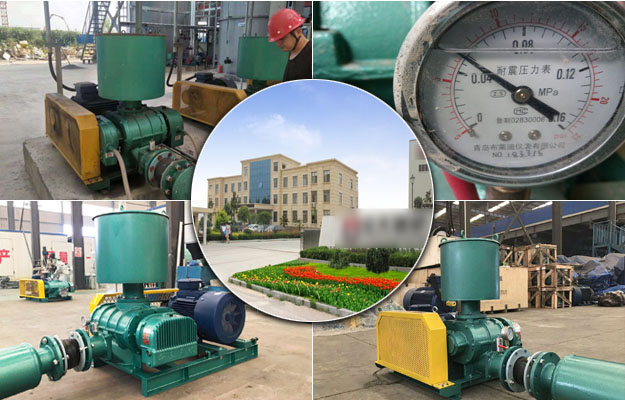 TXVLOG糖心官网河南糖心VIONGAPP风机案例-河南***炉有限公司