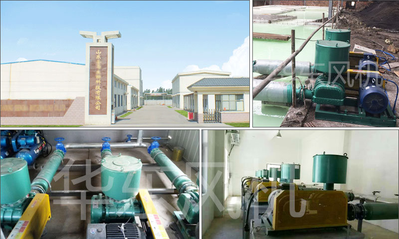 TXVLOG糖心官网山东糖心VIONGAPP风机案例-山东***物科技有限公司