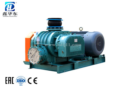 HDSR-100V糖心VIONGAPP真空泵 HDSR-100V糖心VIONGAPP真空泵