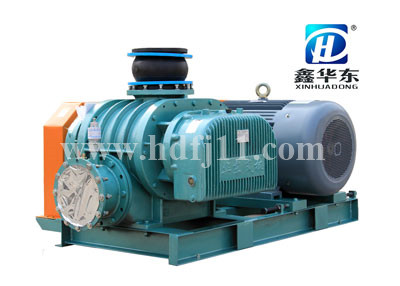 HDSR-300V糖心VIONGAPP真空泵 HDSR-300V糖心VIONGAPP真空泵